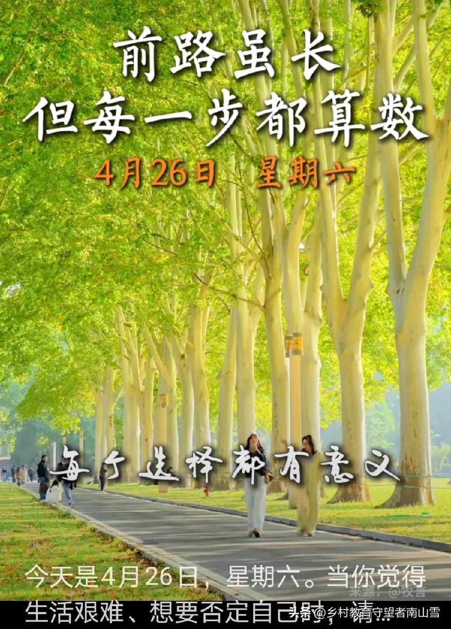 （手机拍摄：南山雪，原创图片，使用请注明出处，首张图片源自新华社，版权归原作者所