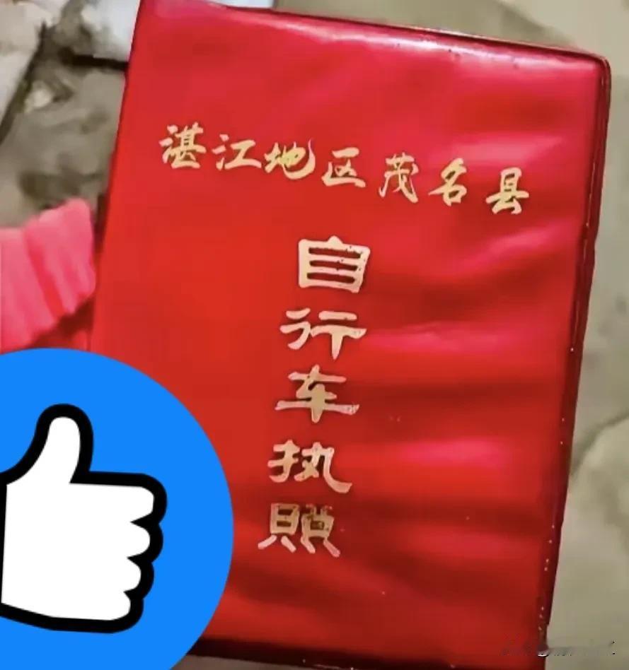 这个证件证明了很短暂的历史事实。相信现在的湛江、茂名和阳江、年龄超过60岁的市民