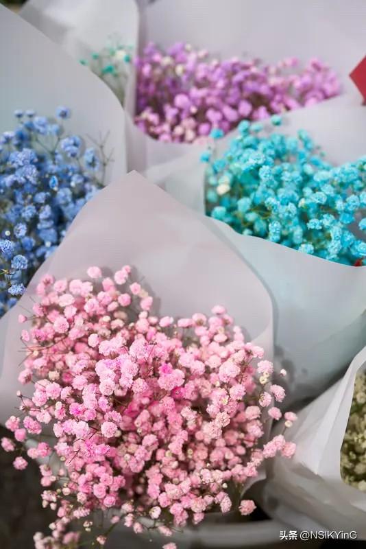 不是所有的鲜花都盛开在春天，不是所有的河流都流向大海，只要热爱，哪里都是风景。