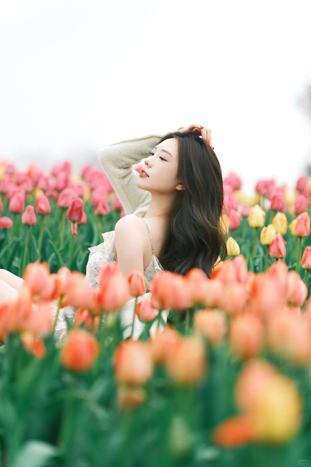 富士｜郁金香🌷的春天