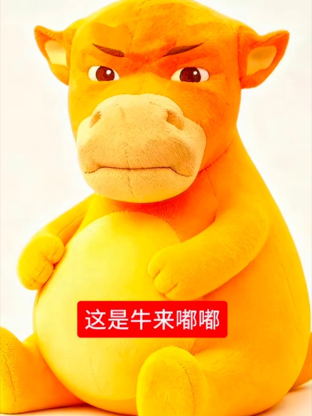 我求你们点开图片看一下 真的笑得我不行了 