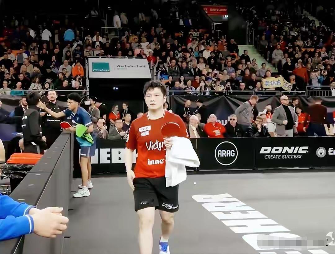 樊振东昨晚杀疯了！一人独揽四胜，但他最怕的，真不是王楚钦！

昨晚的德国杯，看得