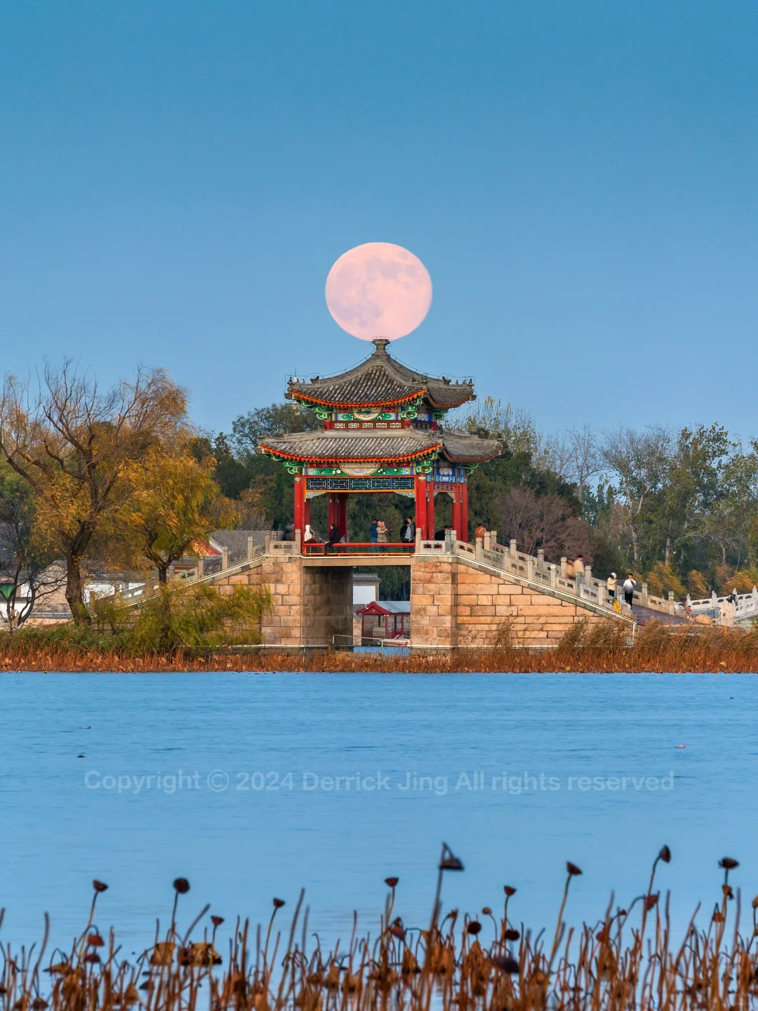 11.16今天北京的月亮实在太大了吧！