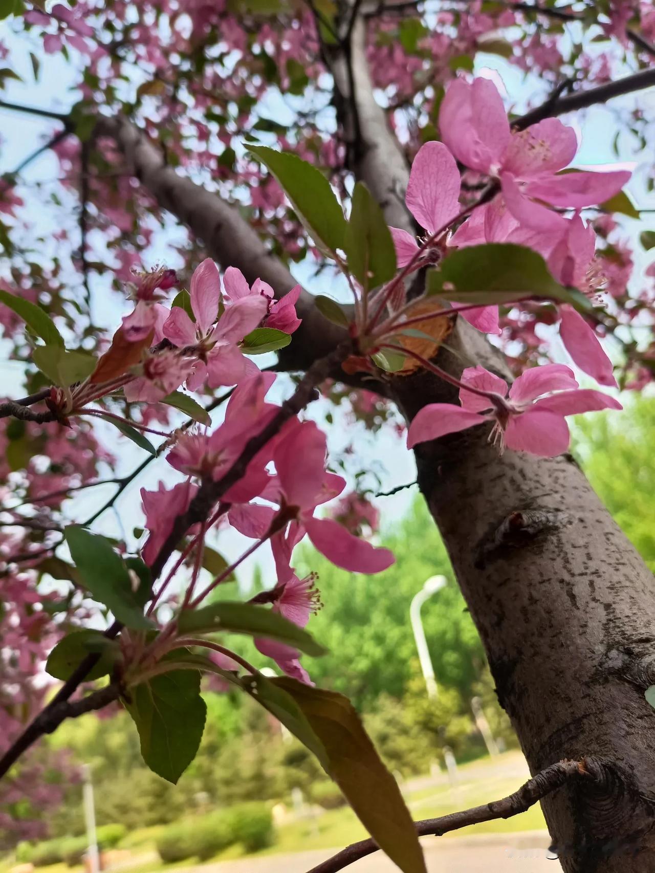 
通过跟朋友聊天，我得出一个结论，像我这样手里没钱的人就不要出去旅游了，免得上火