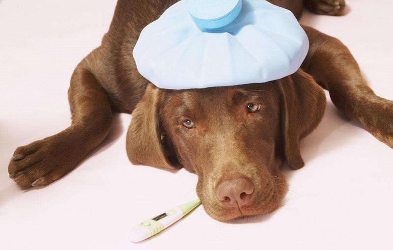 现在经济内卷，都说生意越来越难做，创业不如躺平，躺平顶多是摆烂，创业有可能成为老