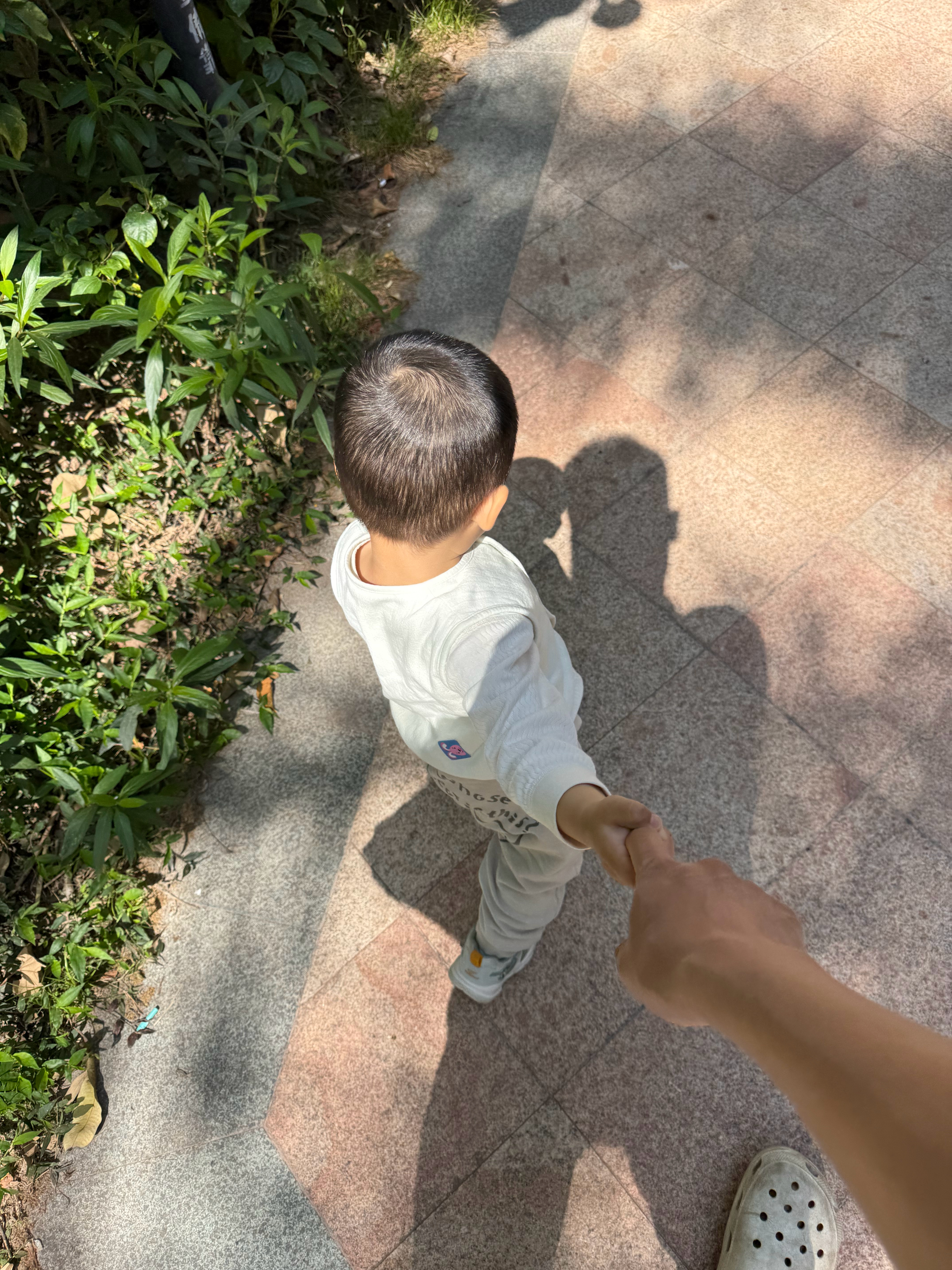 昨天晚上小熊宝半夜醒了，我讲故事哄睡，从规则时代讲到两段式端到端，再讲到 VLA