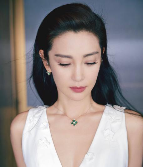 [中国赞]2009年，李冰冰开出12万月薪招保姆。其中一位保姆应聘，将菜里里外外