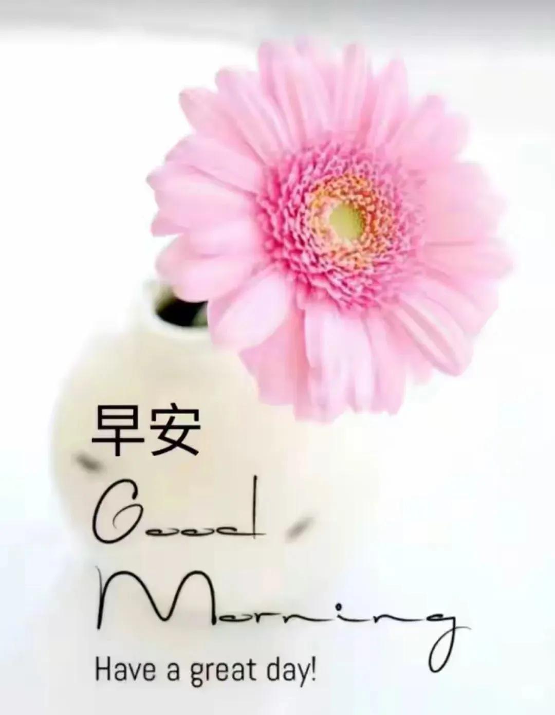 生活如诗，油盐酱醋绘斑斓，
加点糖，甜蜜满溢心间。
快乐如歌，忙碌中绽放笑颜，