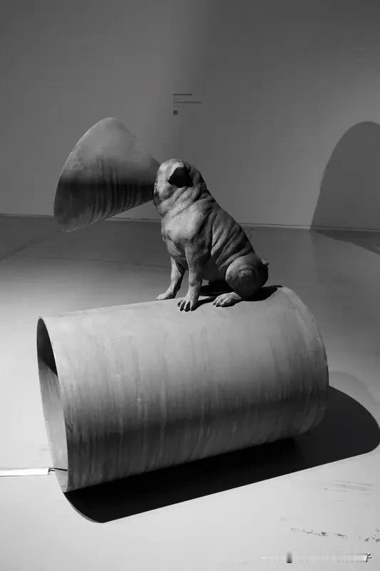 愚昧无知的人狂妄自大，原因在于认知局限。就像处于“信息茧房”的人，被算法圈住视野