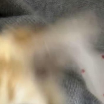 每日一善[超话]🐱每日一善 做任何事，只要你迈出了第一步，然后再一步步地走下去