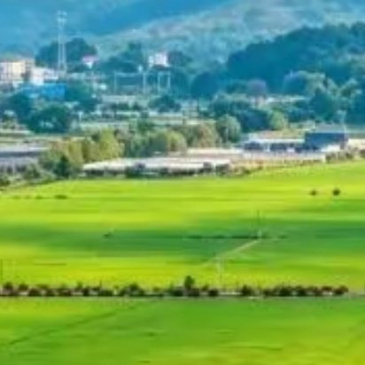 花会慢慢开，好运气会慢慢来。急什么，别急。气静万物生，心静岁月长。所有的美好都在