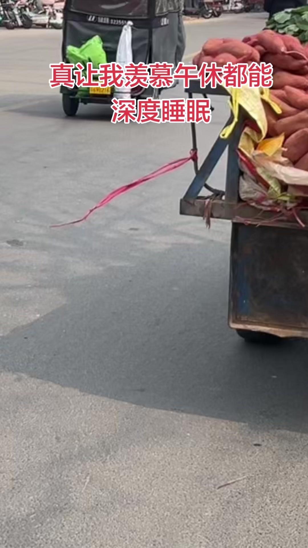 你抱怨睡不着，睡不着的时候看咱的劳动人民，人家随时随地都能深度睡眠，也不管声音光