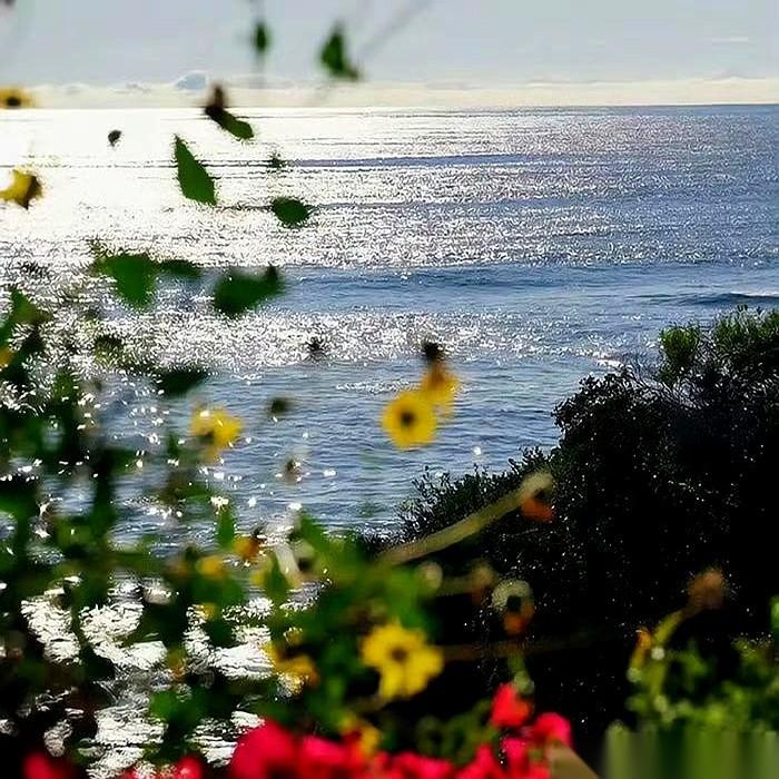 每年四月第一天，朋友圈都会被一种祝福刷屏。
照片是清一色的蓝天、花草、咖啡杯，文