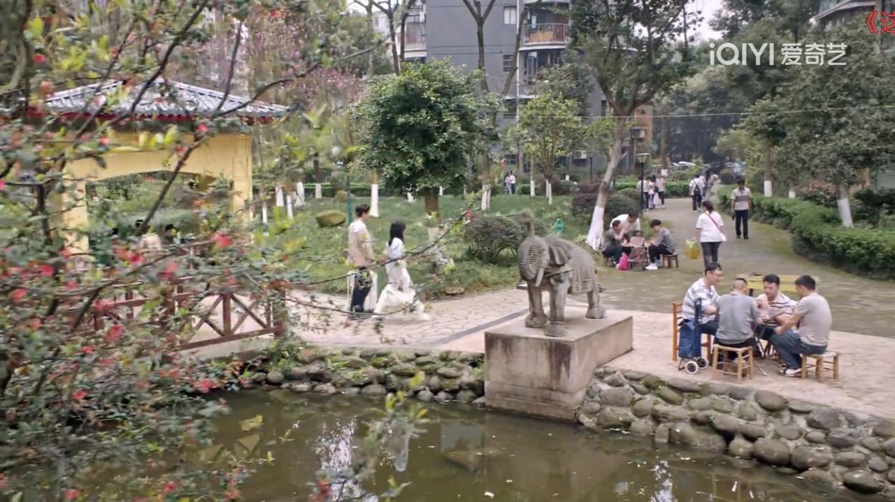 生逢其时周轩宇又整这死出，当众下跪，让曹思不得不原谅，你都把孩子推到桌角了还怎么