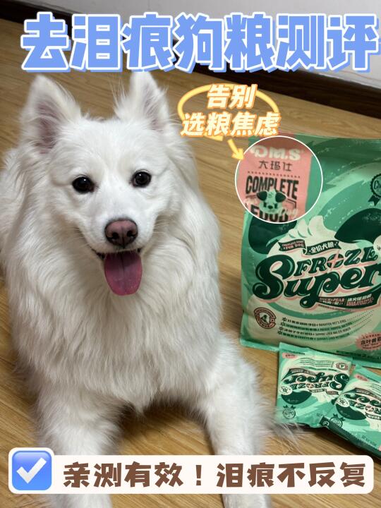 听劝！这样做狗狗真的没泪痕！