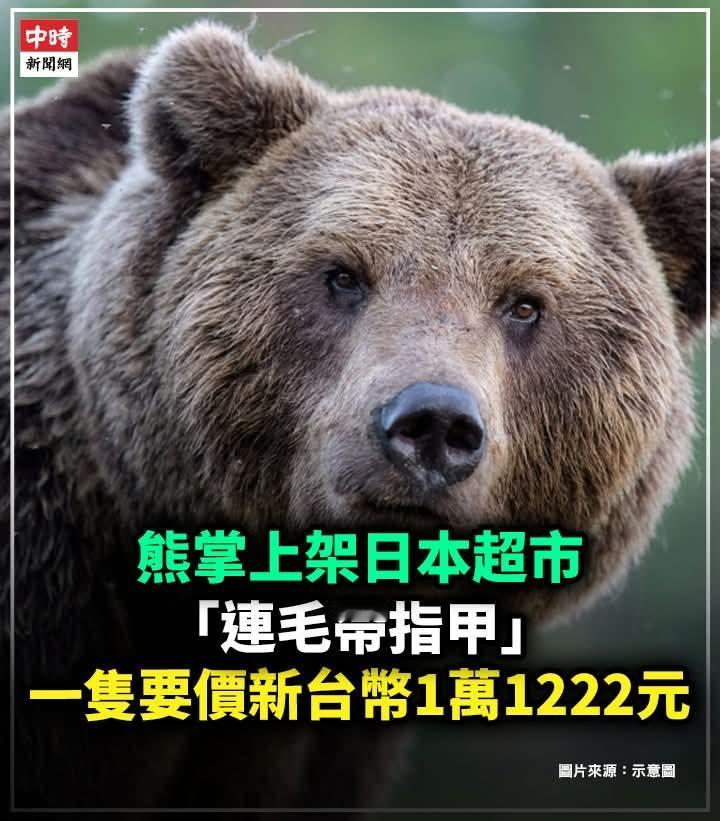 中方回应高市早苗最新涉台表态