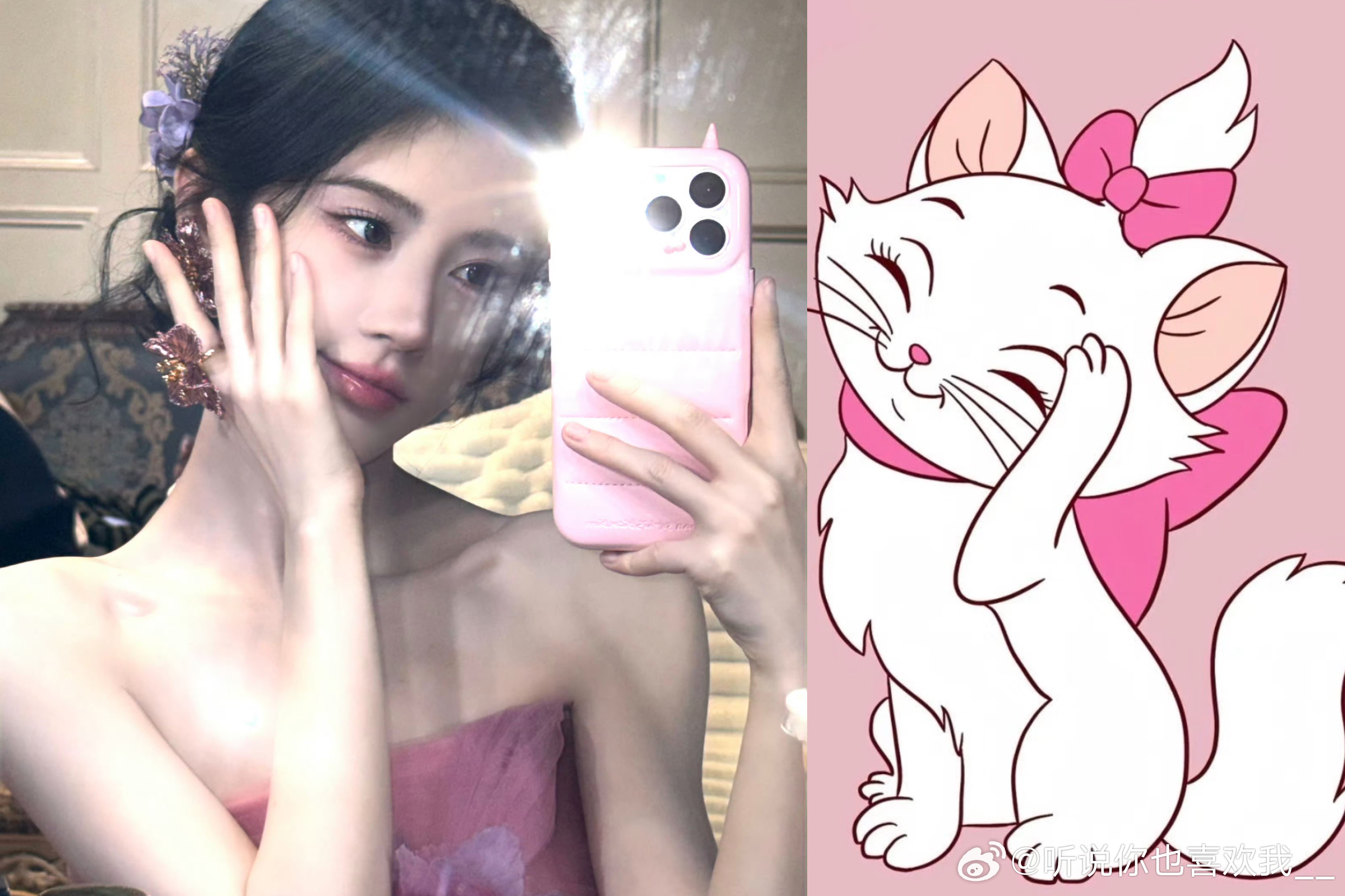 鞠婧祎力挺猫塑证据加一玛丽猫本猫在此 