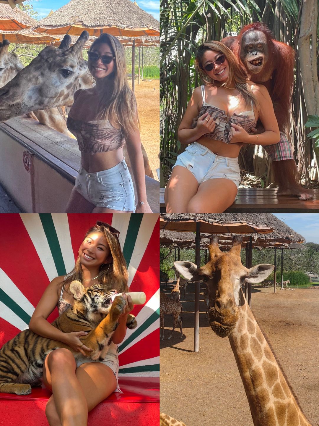 🇹🇭泰国曼谷的野生动物园都给我冲啊！