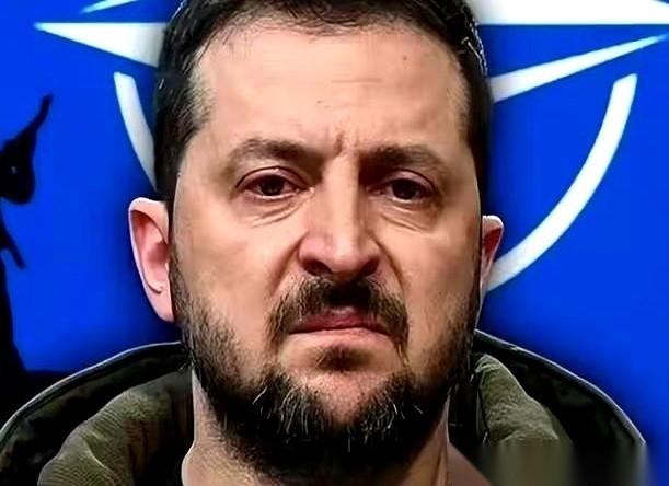 妈呀，一千万。

 一个国家，战前4300万人，几年打下来，活生生就少了小一千万