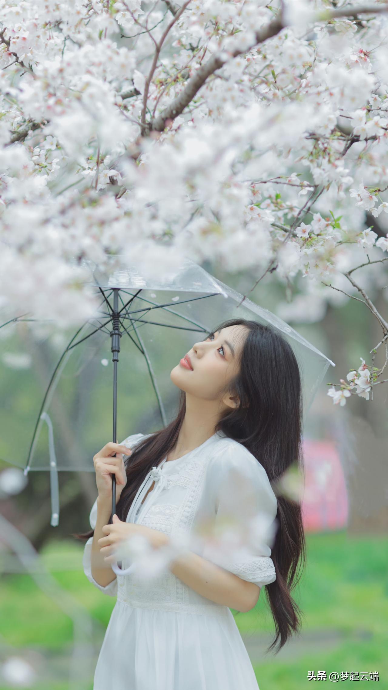 花落人独立，伞下思悠长。