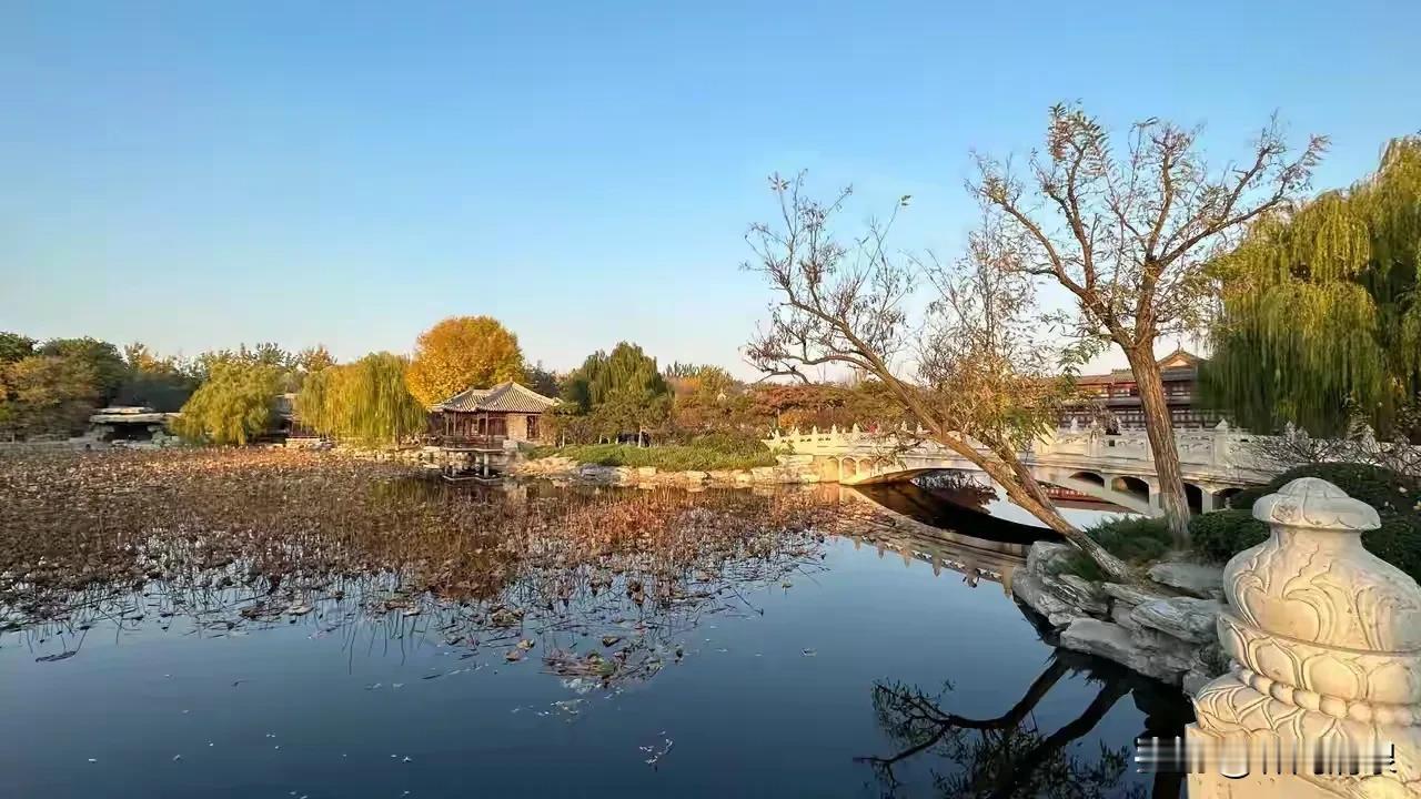隔壁有个小孩，早上总是哭，经常四点或五点就开始哭。本来睡得挺香，这一哭，就睡不着