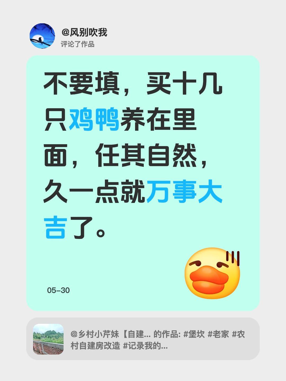 我评论了@乡村小芹妹【自建房改造中】 的作品：
不要填，买十几只鸡鸭养在里面，任
