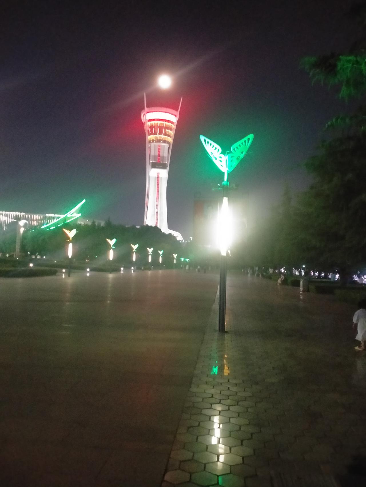 随手拍一张美景