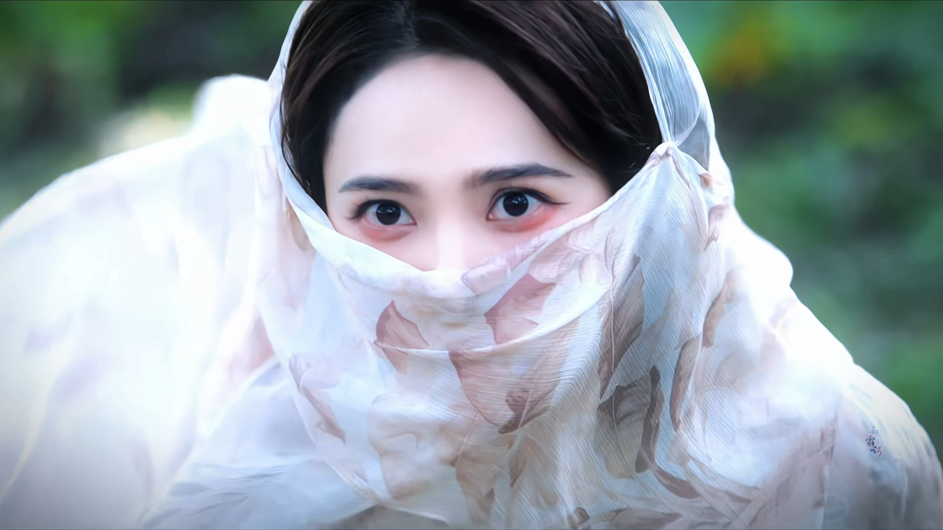 危险、强大又迷人 剧集南部档案 ｜ 张海琪 · 姜珮瑶 