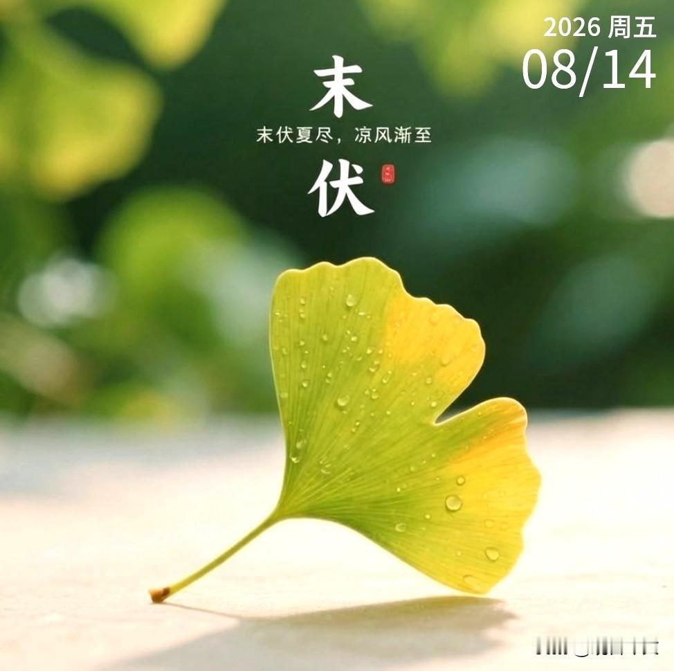 末伏至，暑将尽。阳光中带着温柔的辞别，去迎接初秋的清爽。愿伏去福来，身健心安，静