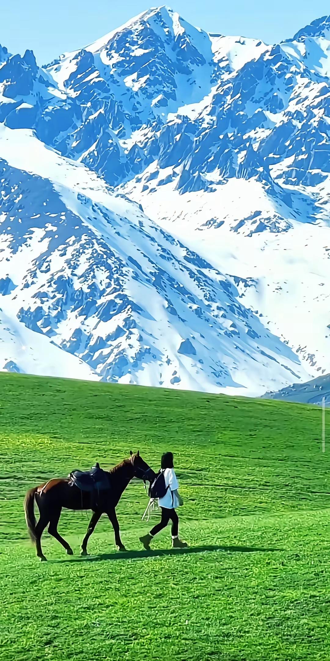 雪巅白莲
 
不恋春溪柔波，不贪夏塘月色
择一片寒峰雪巅，开成独有的洁白
风卷霜