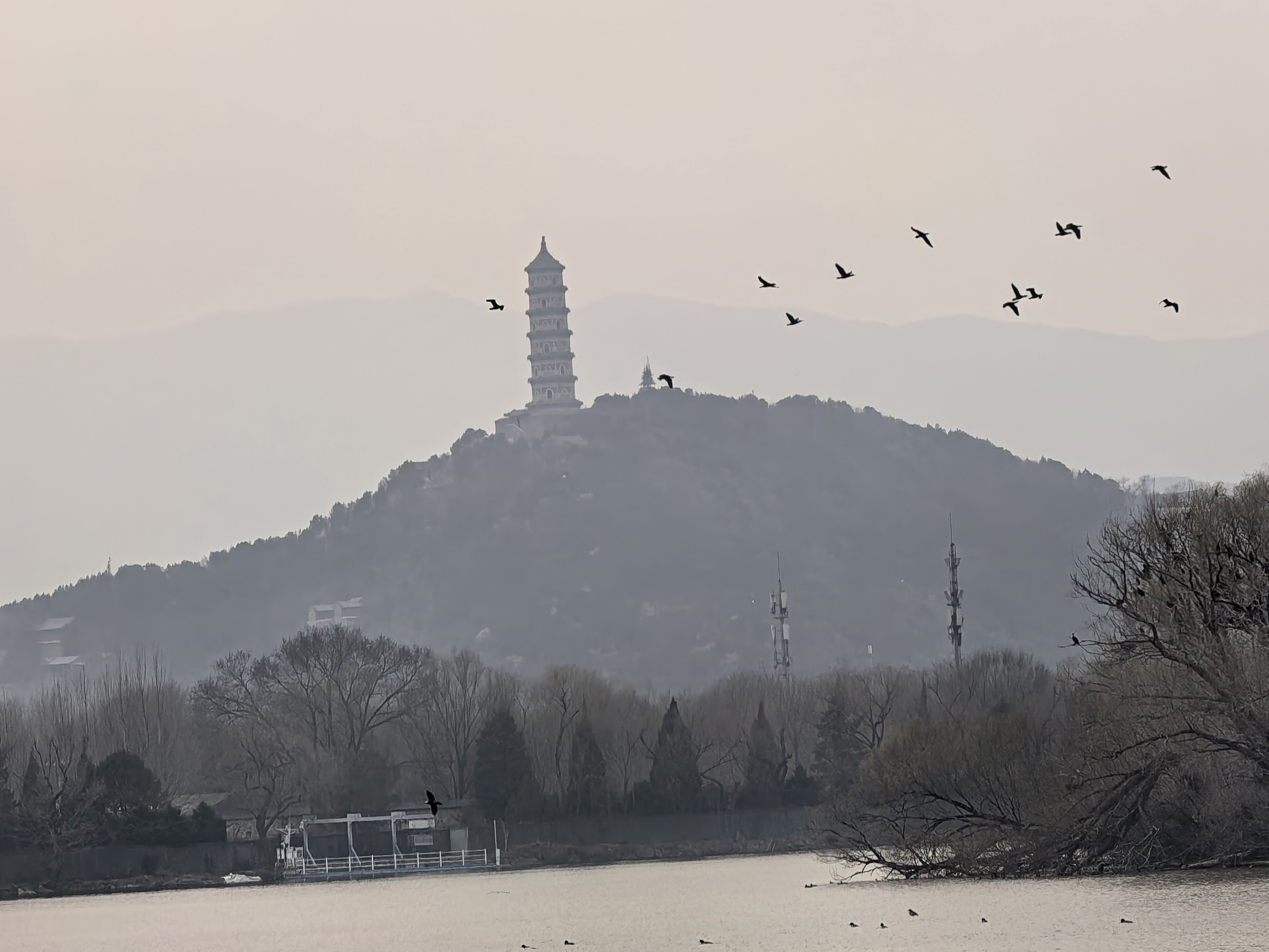 315每年看完315晚会，就能调整一段时间的生活习惯，不敢吃这，不敢吃那，然后就