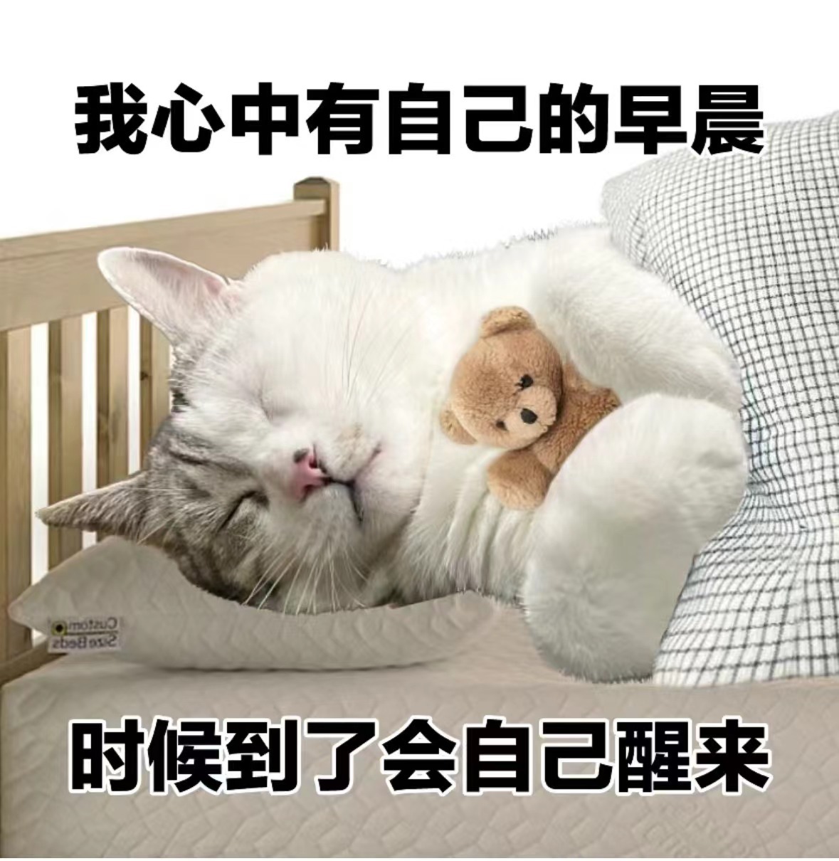 【#研究发现早上赖床更科学#？既然你都这么说了......】你需要几个闹钟才能起