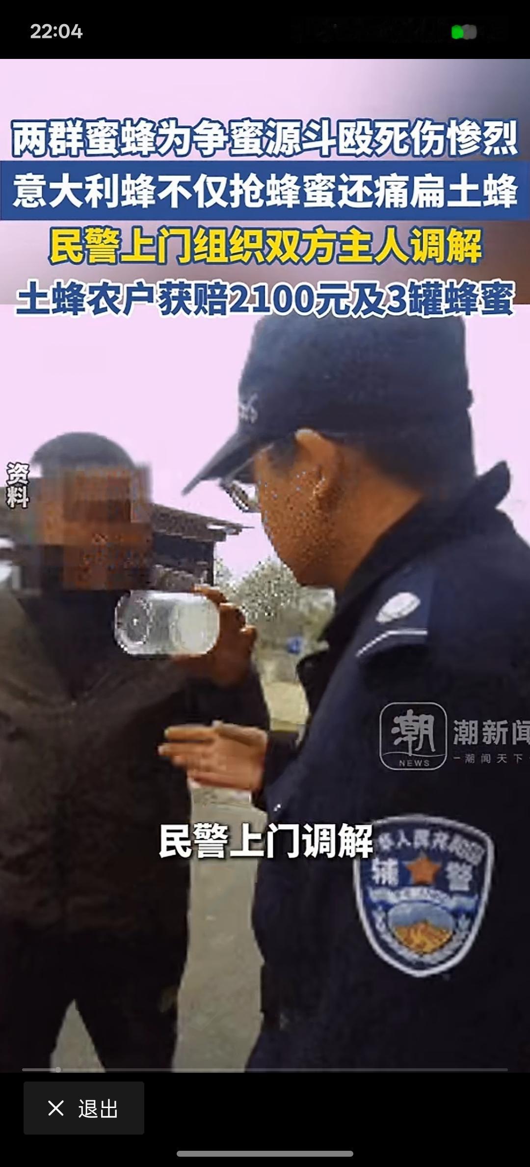 这年头，这警察也不好当啊，两家蜜蜂打群架，死伤惨重，警察要上门调解，意大利蜜蜂这