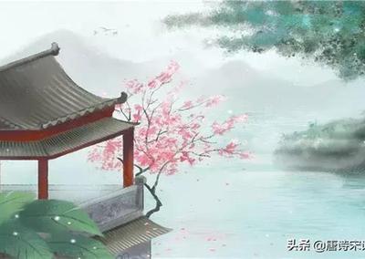 半生风雨方知：释怀过往方能安度余生，心宽便是人间正道
 
近期全网都在热议中年人