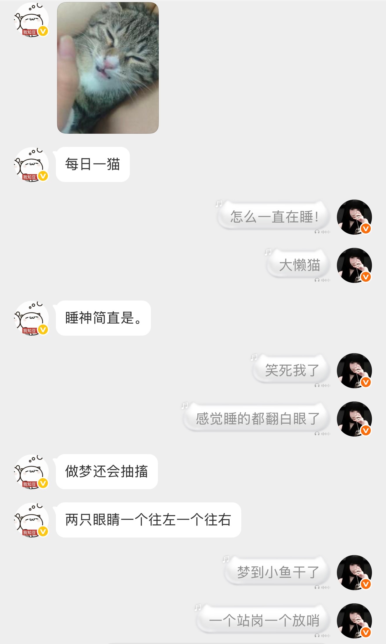 可是可是这样好幸福，小x7和她的猫 ​​​
