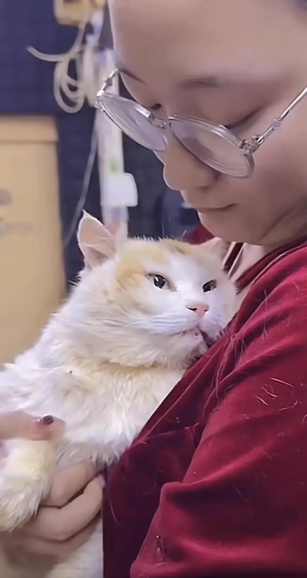 好温馨的画面！这只猫猫可能从来没有得到过人的温暖拥抱，以至于它可能觉得不敢相信。