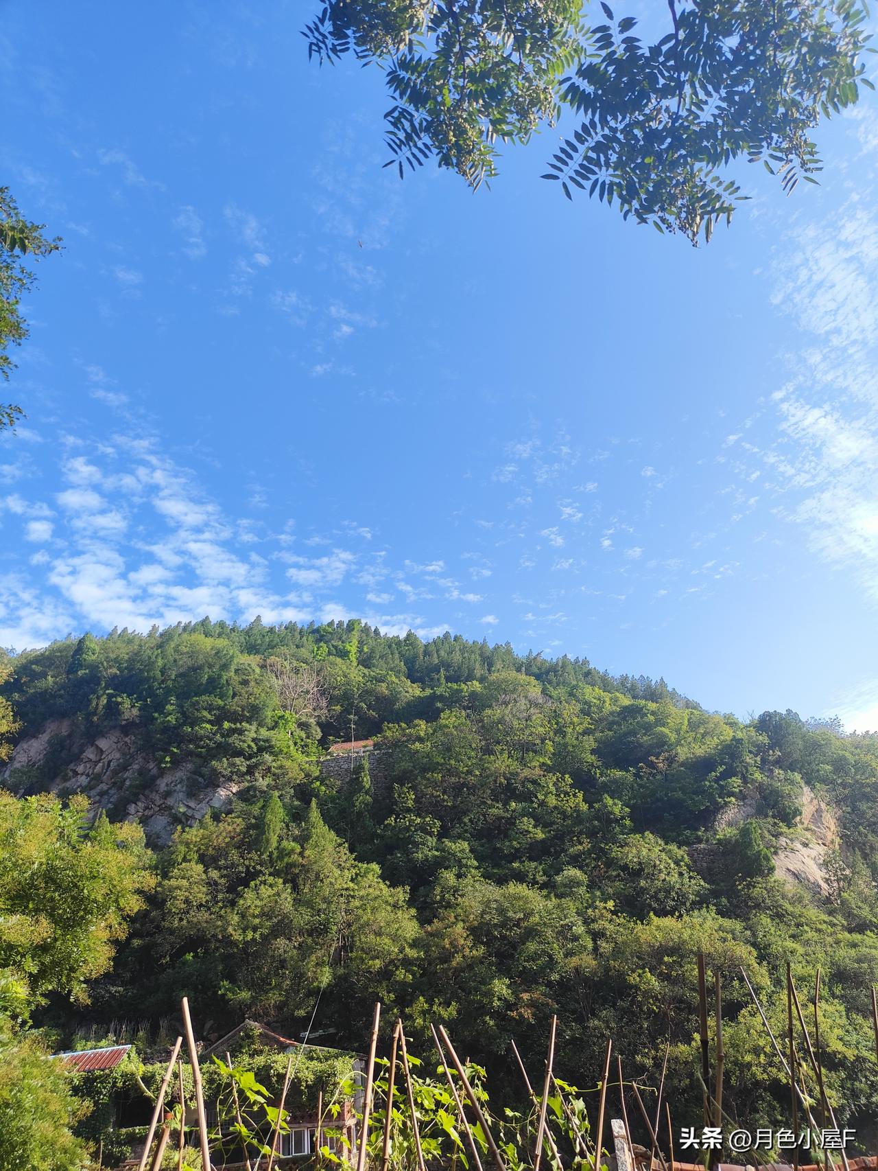 皖北黑石屋：一场师生禁恋，困住了她余生所有温柔
 
年少最误人的，从不是轰轰烈烈
