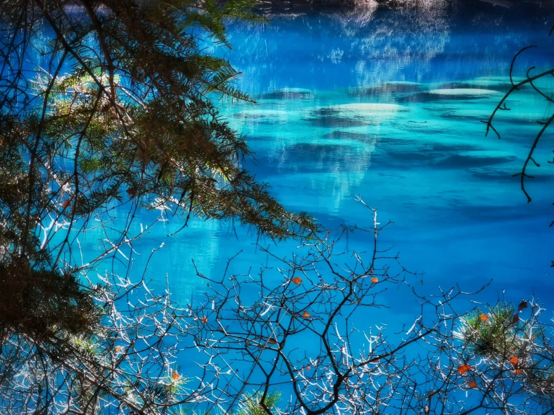 春雪后的九寨沟美呆了