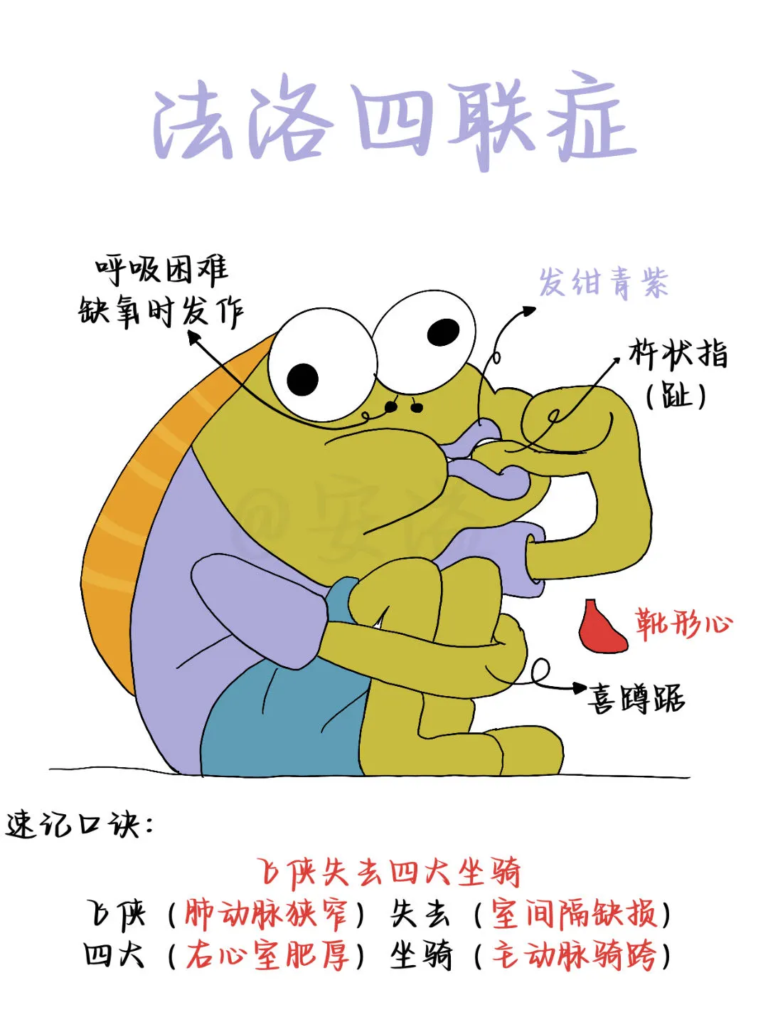 医学生绘本‖法洛四联症