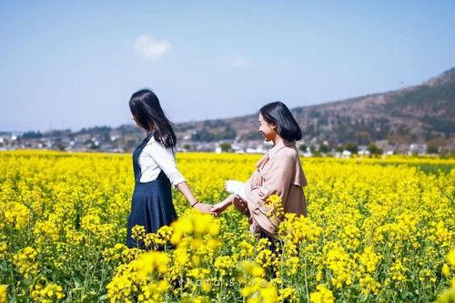 藏在花窗里的春天有多浪漫花窗是中国人写给春天的情书——用木头雕刻时光，用光影编织