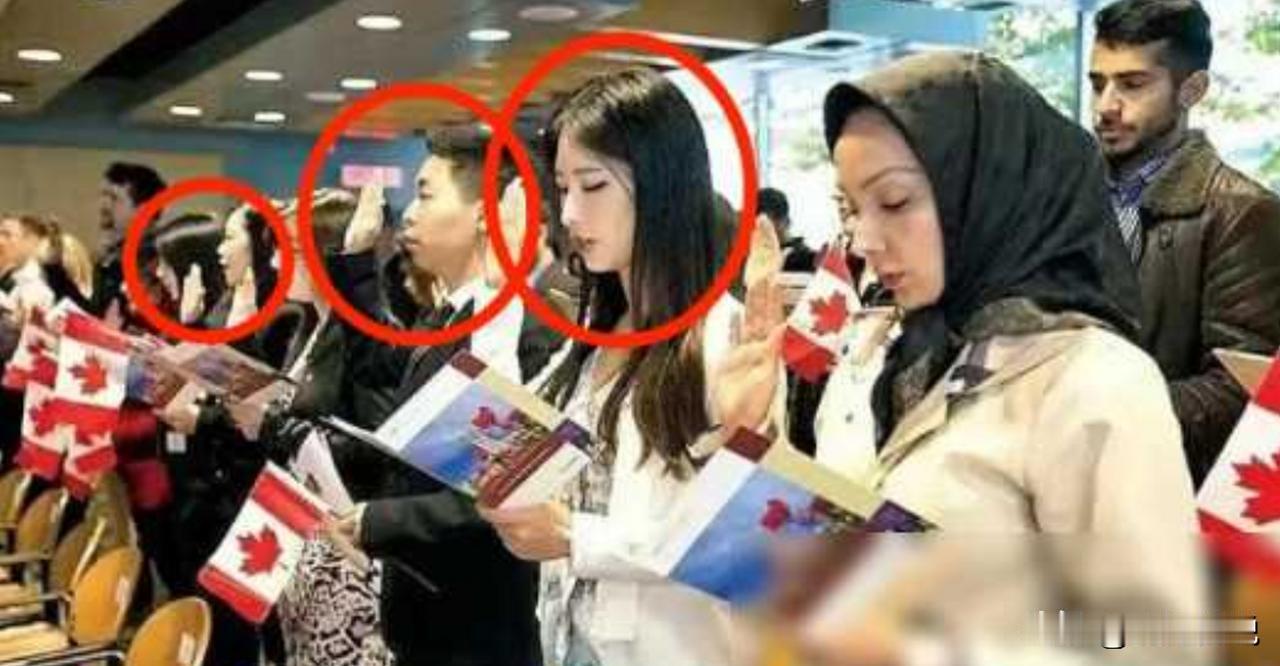 他们曾是中国公民，如今却在加拿大宣誓效忠，自愿放弃中国国籍，更令人惊叹的是，这些