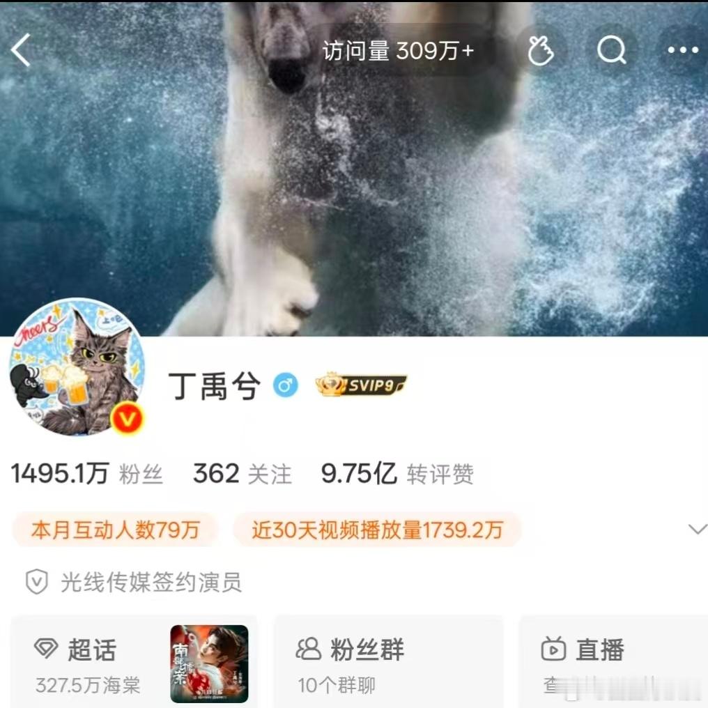 丁禹兮头像变黑虾了主页头像悄悄更新，黑虾带着冷峻的气息，缅因猫依旧温和，两种特质
