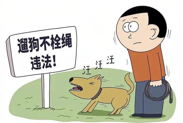 遛狗不拴绳将违法！武汉社区走访：养犬人已知晓新规，执行成难题？
随着我国宠物家庭