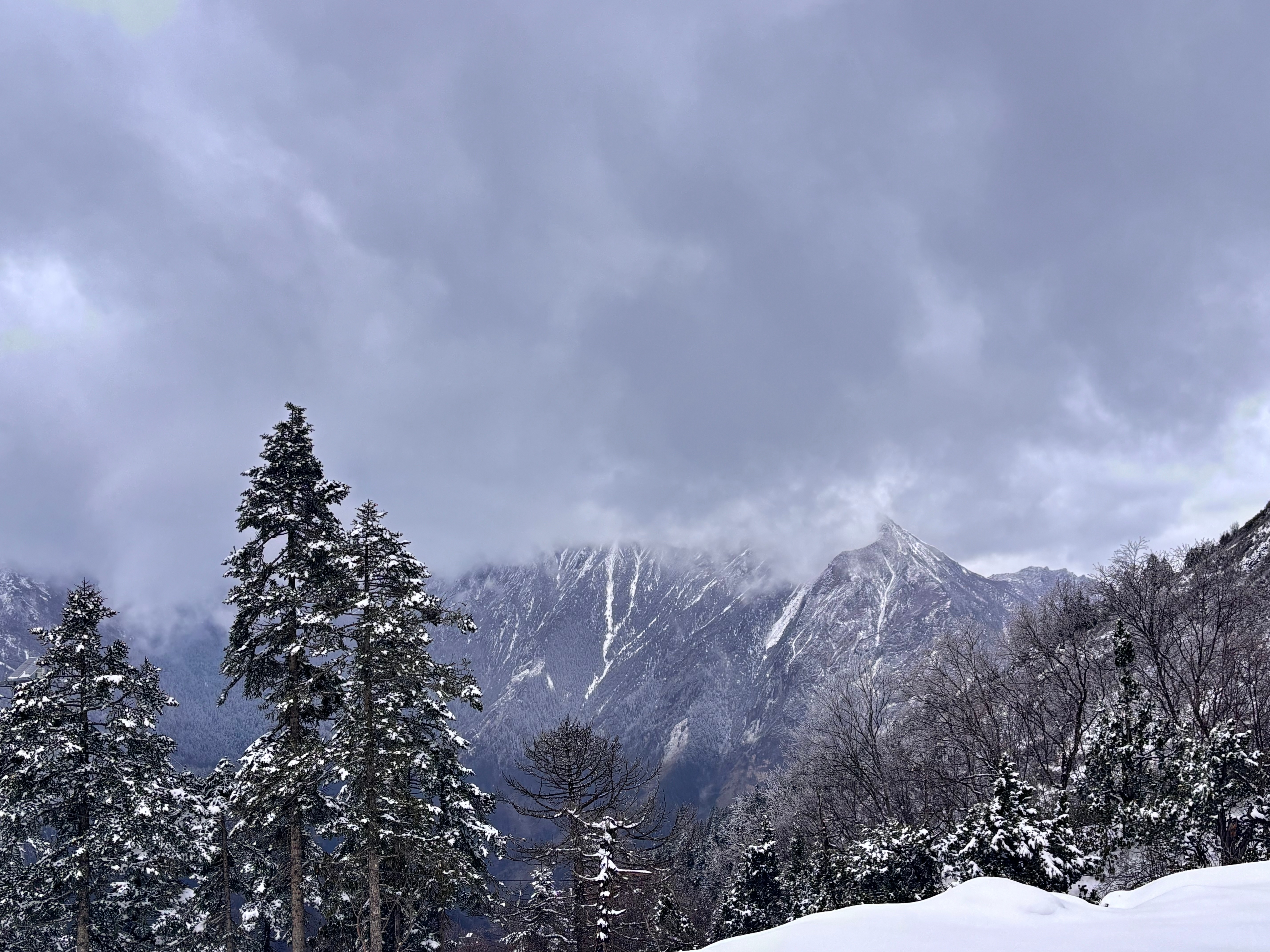 收到朋友发来兰州的雪景，瞬间被震撼到❄️同一个时间，一边是江南绿意盎然、流水潺潺