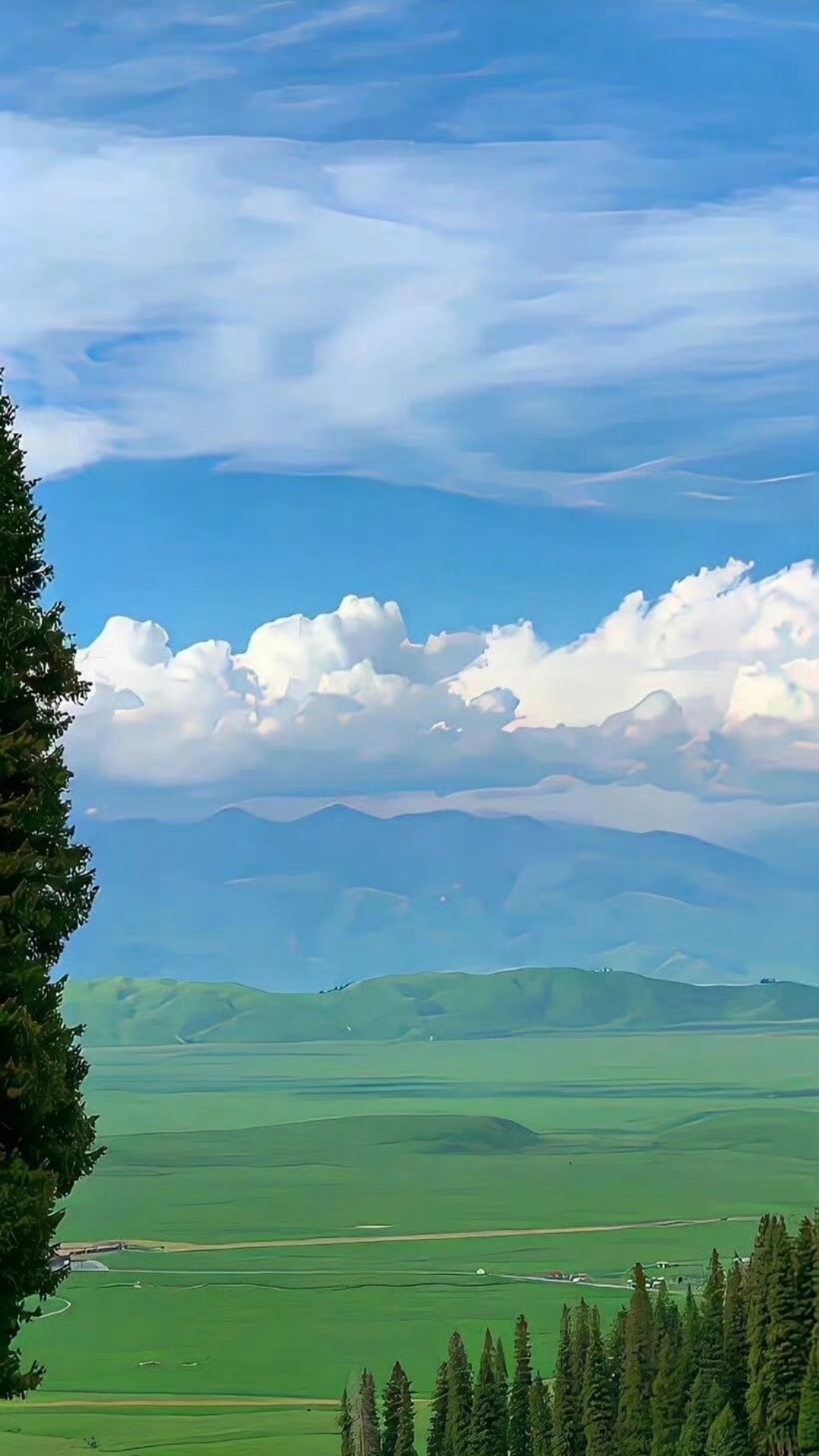 手机壁纸 | 高质量ins高级感 | 高清无水印 | 每日桌面 |  清新 | 