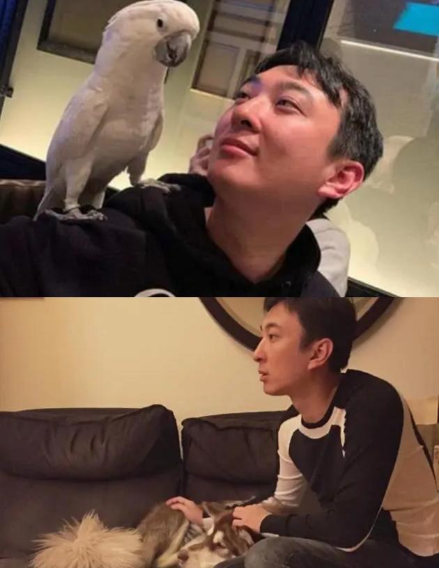 王思聪靠王健林？错了！可能王思聪会是王健林最后的底牌！！！
想当年拿5亿投资电竞