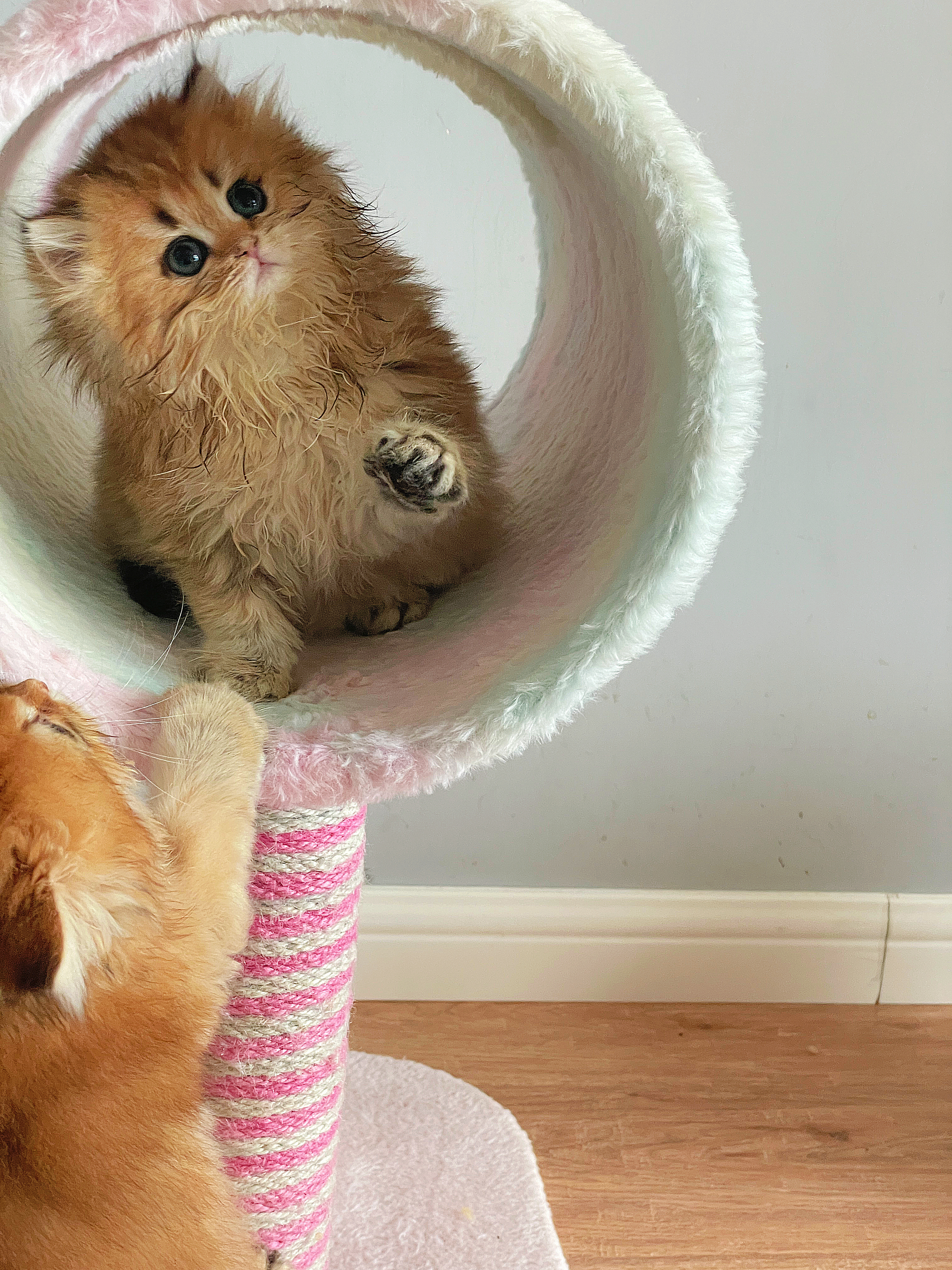 撇开脏不说，你真的超美但是脏撇不开，求求了吃饭悠着点[裂开]但是的但是话又说回来