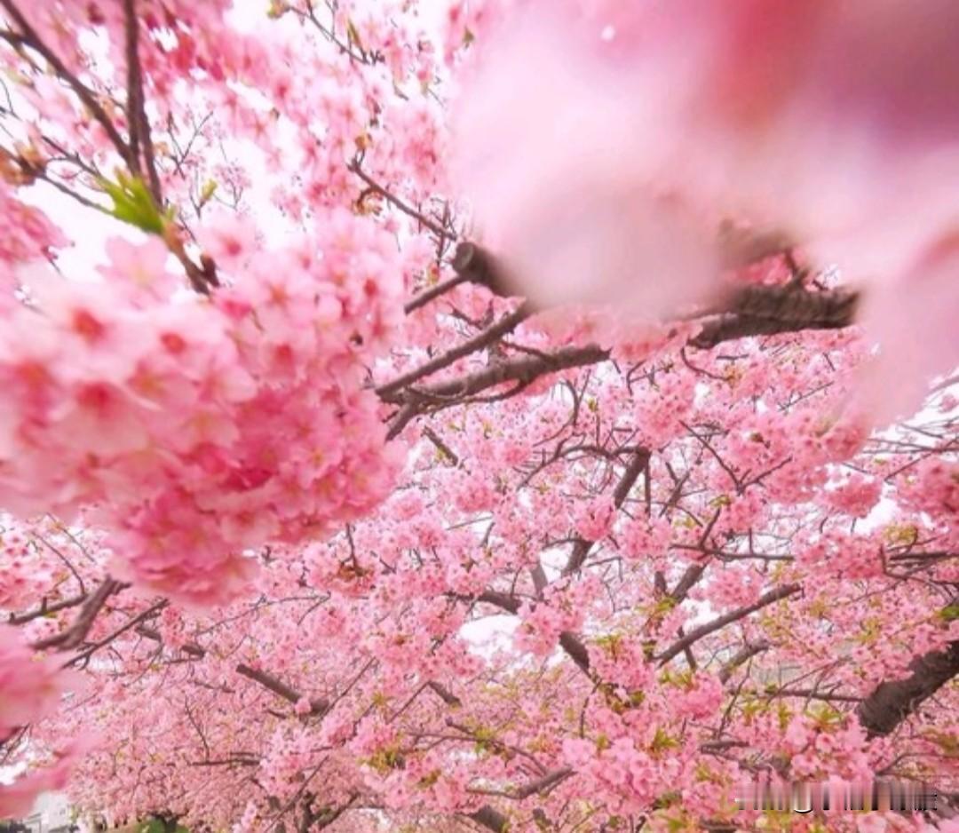 今天大家都赚钱，我们就不聊股市了，我给你们分享一个颠覆我三观的事情，纯属闲聊
