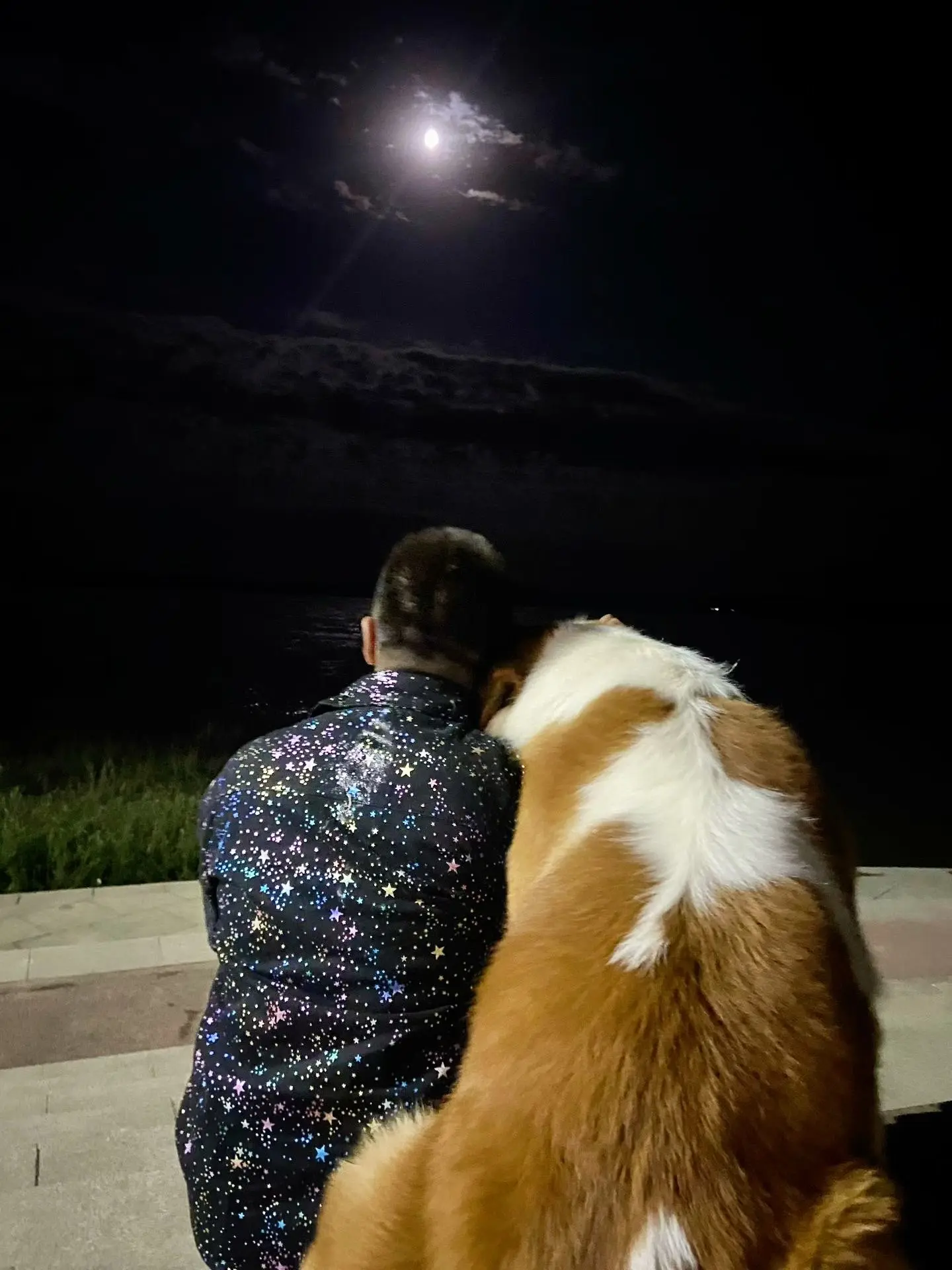 这可能就是陪伴吧！