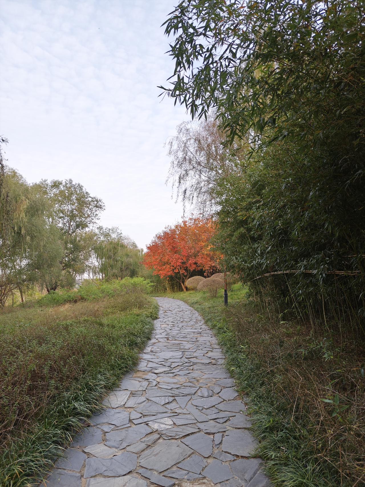 白云青石径，一簇红叶迎客来。